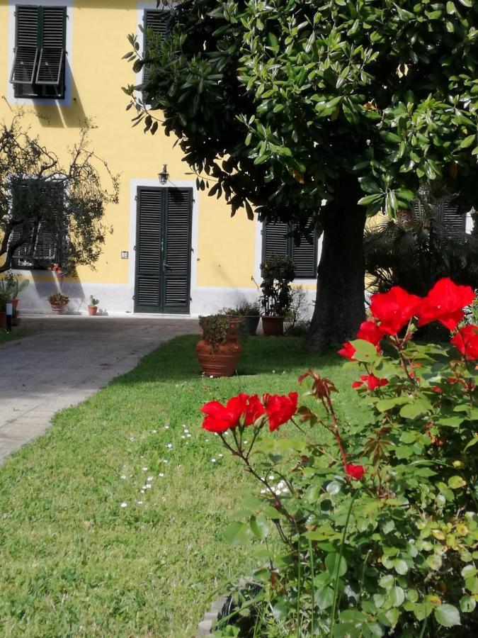 Casa Magnolia Lucca